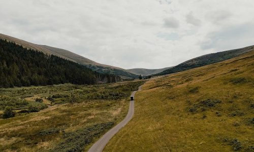 DJI_0169-(0_00_37_09)